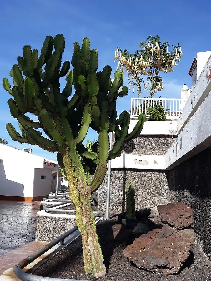 アパート I Love Tenerife! I Love Island Village! アデヘ スペイン